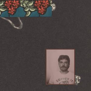 Climbing Up The Sunbeams