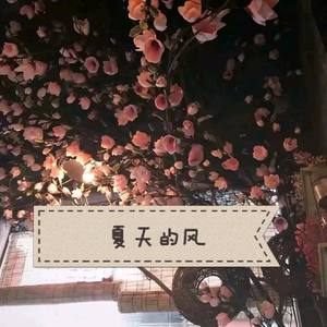 夏天的风