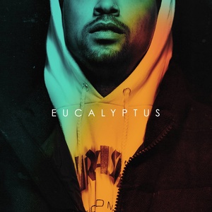 Eucalyptus (Explicit)