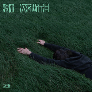 想你一次落两行泪 (烟嗓版)