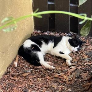 a song about what i imagine casper's life is like out there