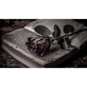 ROSS X FIKO - ПОЕЗИЯ (Explicit)