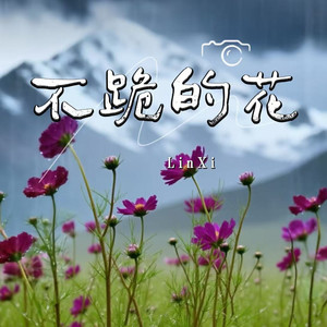 不跪的花-林西