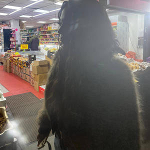 Did I Ever? (Explicit)