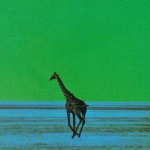 Salad (feat. Purpl) (Remix)