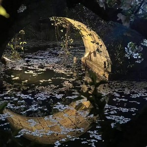 清风上南枝 (探故知)-陶陶居&DJ97