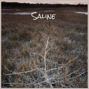 Saline