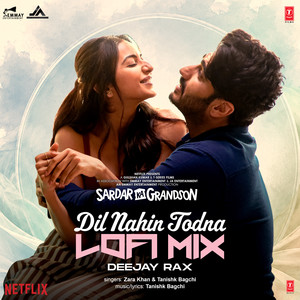 Dil Nahin Todna Lofi Mix
