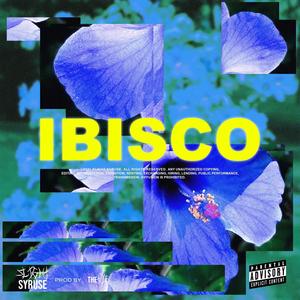 Ibisco (Explicit)