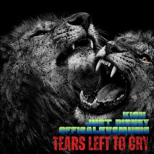 Tears Left To Cry