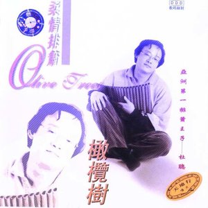 杜聪 - 伦巴达 LAMBADA