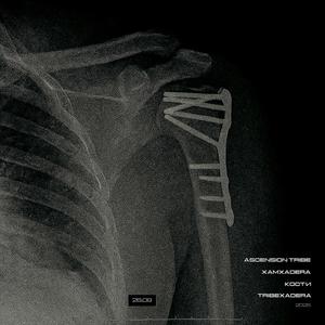 Кости (Explicit)