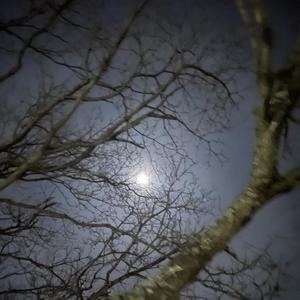 odd fella (Explicit)