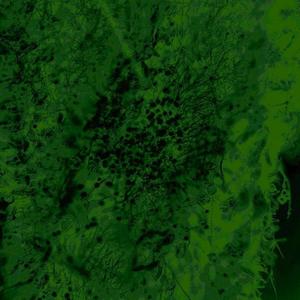 trembling! (Explicit)