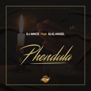 Phendula (feat Sliq Angel)