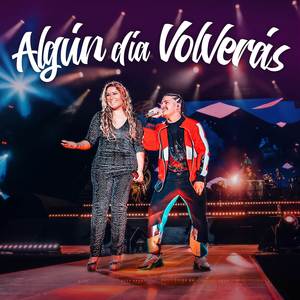 Algún Día Volverás (En Vivo en La Quinta Vergara)