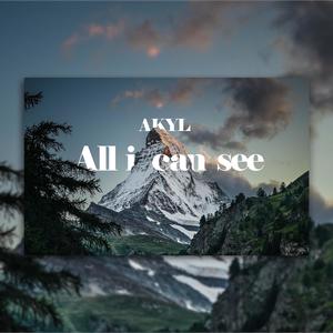 All I Can See
