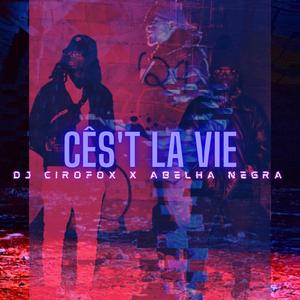 Ces't La Vie(feat. Abelha Negra)