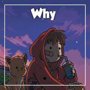 Why (Lofi Remix) [Explicit]