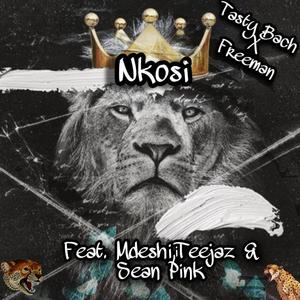 Nkosi (feat. Mdeshii, Teejaz & Sean Pink)