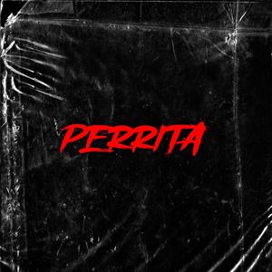 PERRITA (feat. El Cha 09) [Explicit]