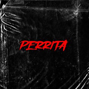 PERRITA (feat. El Cha 09) (Explicit)
