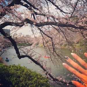 【武士桑】前前前世 (【木吉他弹奏】) (Inst.)