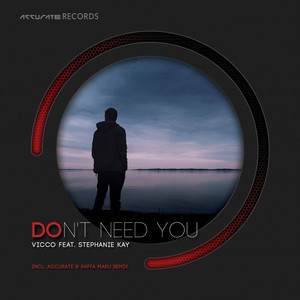 Don't Need You (Raffa Maru Remix)