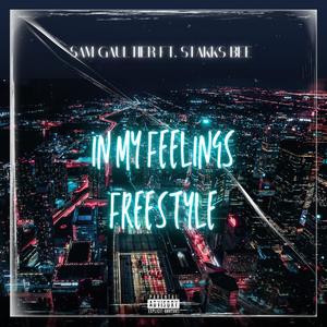 In My Feeling Freestyle (feat. Stakks bee) [Explicit]