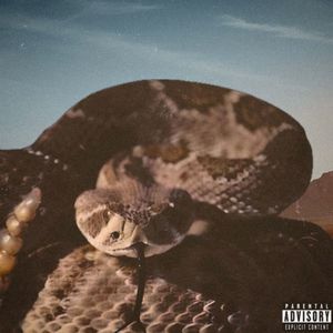 The Texas Rattlesnake (Explicit)