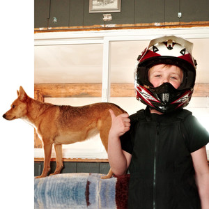 BLOODHOUND (Explicit)