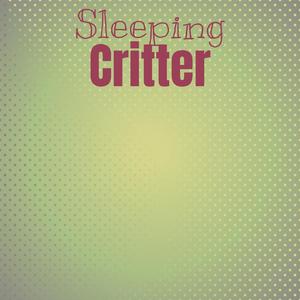 Sleeping Critter