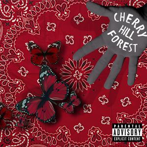 AriZona (feat. Yade) (Explicit)