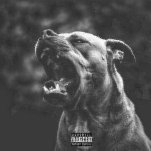 Rough (Explicit)