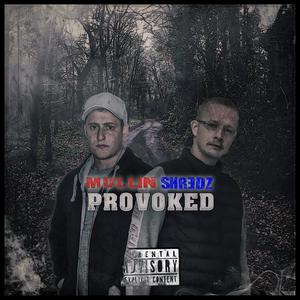 Provoked (feat. Shredz) (Explicit)