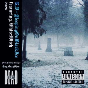 SleepingOnBlackIce (feat. WhiteWitch) (Explicit)