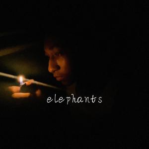 elephants (Explicit)