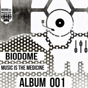 Music Is The Medicine