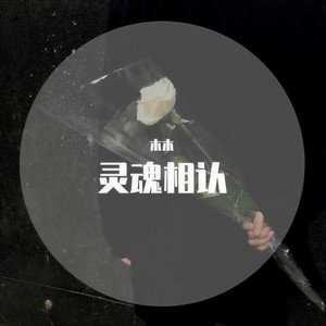 灵魂相认封面