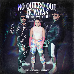 No Quiero Que Te Vayas (Remix)