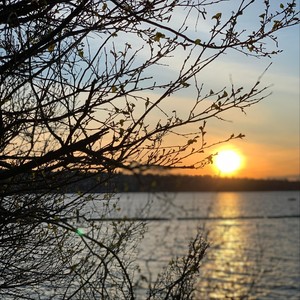 Let Me Go(feat. Carolina)