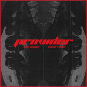 Provider