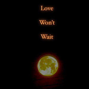 Love Won't Wait