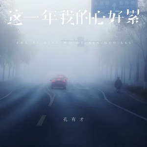 这一年我的心好累