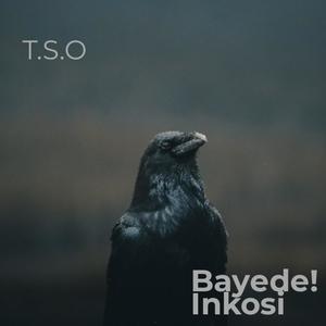 Bayede! Inkosi