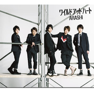 ワイルド アット ハート (Wild at Heart)