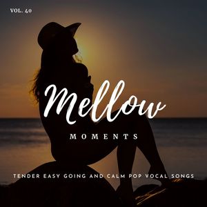 Mellow Moments - Tender Easy Going And Calm Pop Vocal Songs, Vol. 40