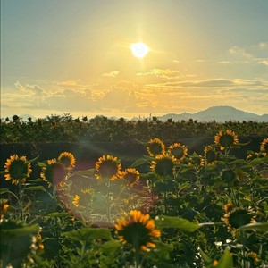 你好漂亮 笑起来像太阳