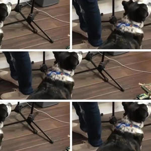 Take It All (feat. Arjun Thomas & Samantha Bederman)