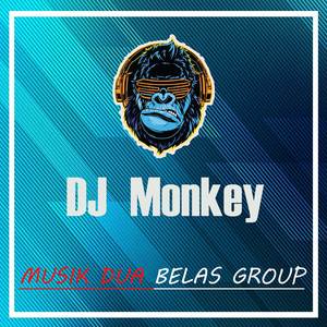 DJ Monkey - DJ SINYAL SELINGKUH